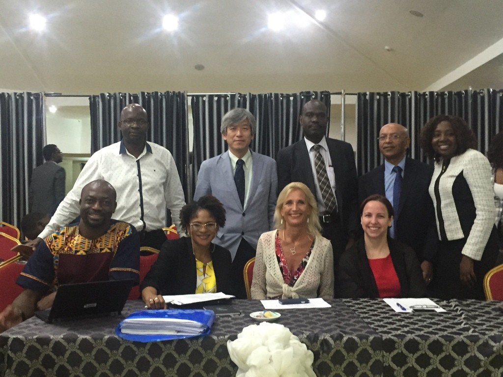 external assessors with who nigeria rep