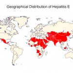Alert: Prevention and Control of Hepatitis E Infection